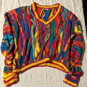 Vintage Coogi Sweater Multicolor Knit  V Neck